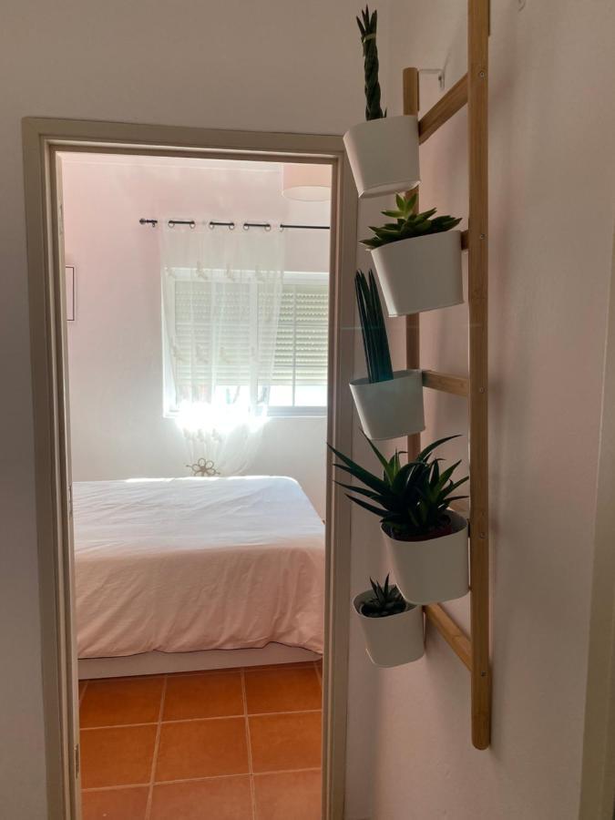 Apartamento Vicentino 米尔芳提斯城 外观 照片