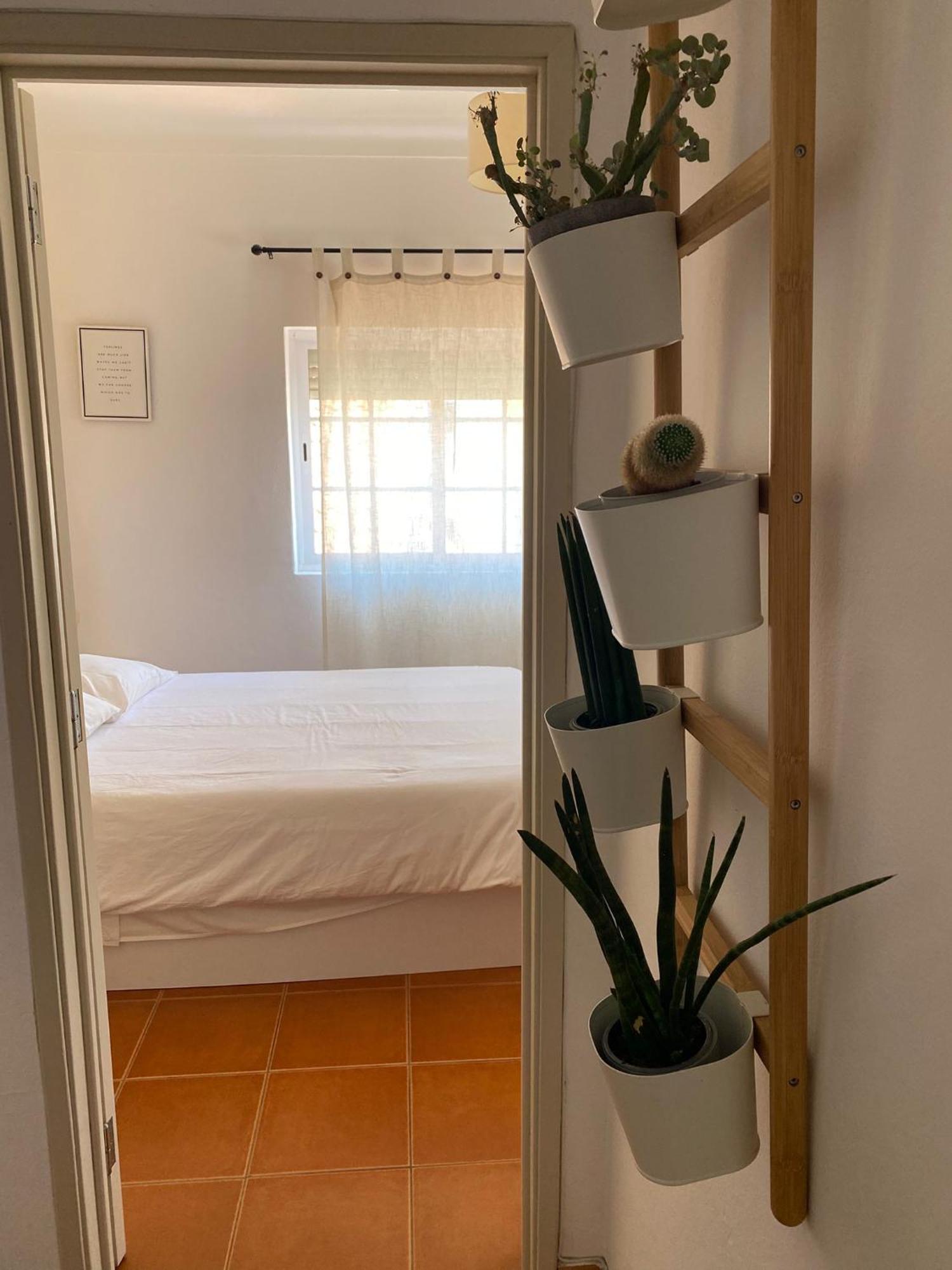 Apartamento Vicentino 米尔芳提斯城 外观 照片
