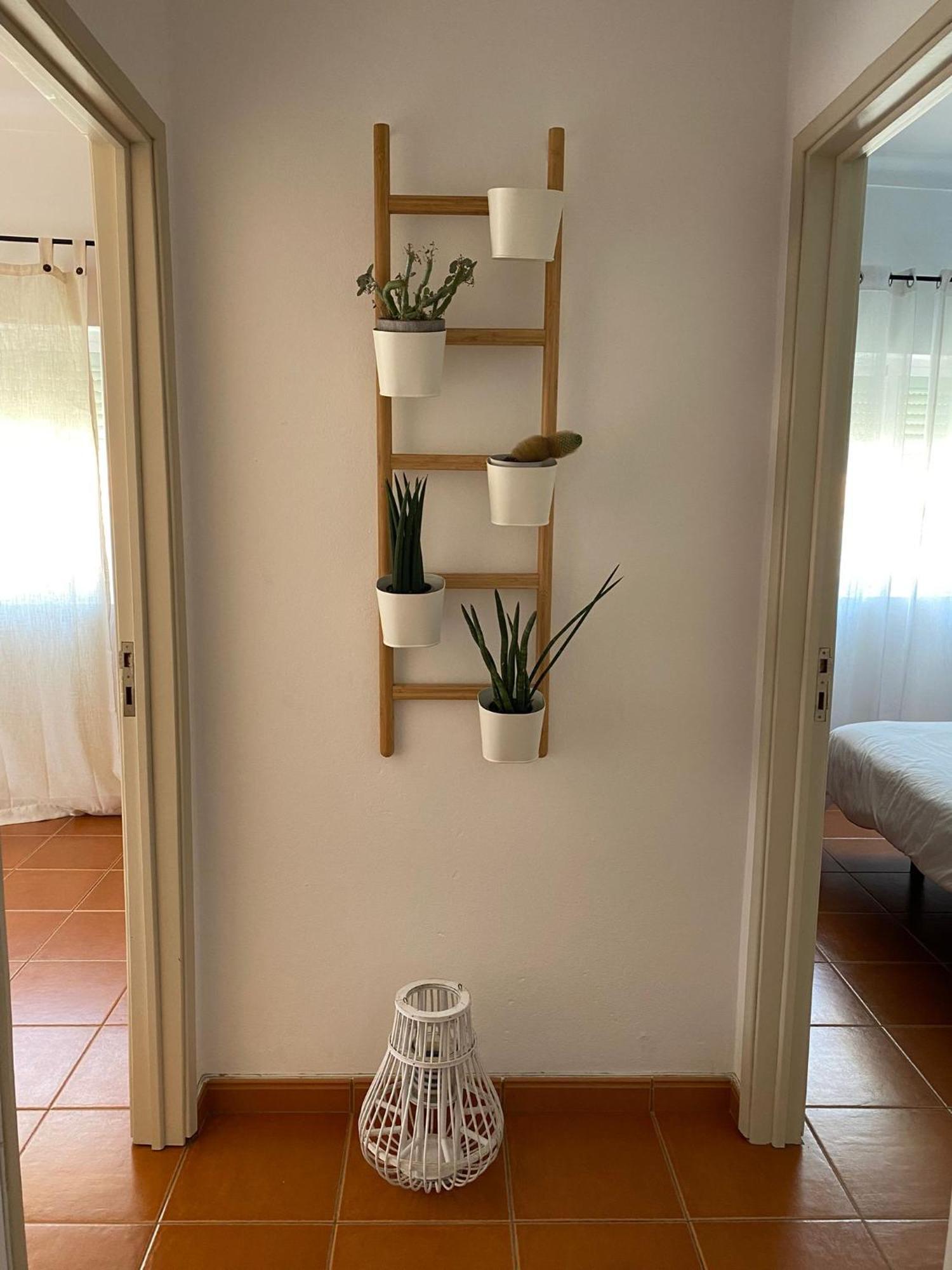 Apartamento Vicentino 米尔芳提斯城 外观 照片